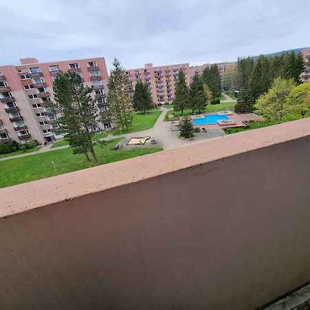 Ferienwohnung Altenau Im Harz, Hunde Bagian luar foto